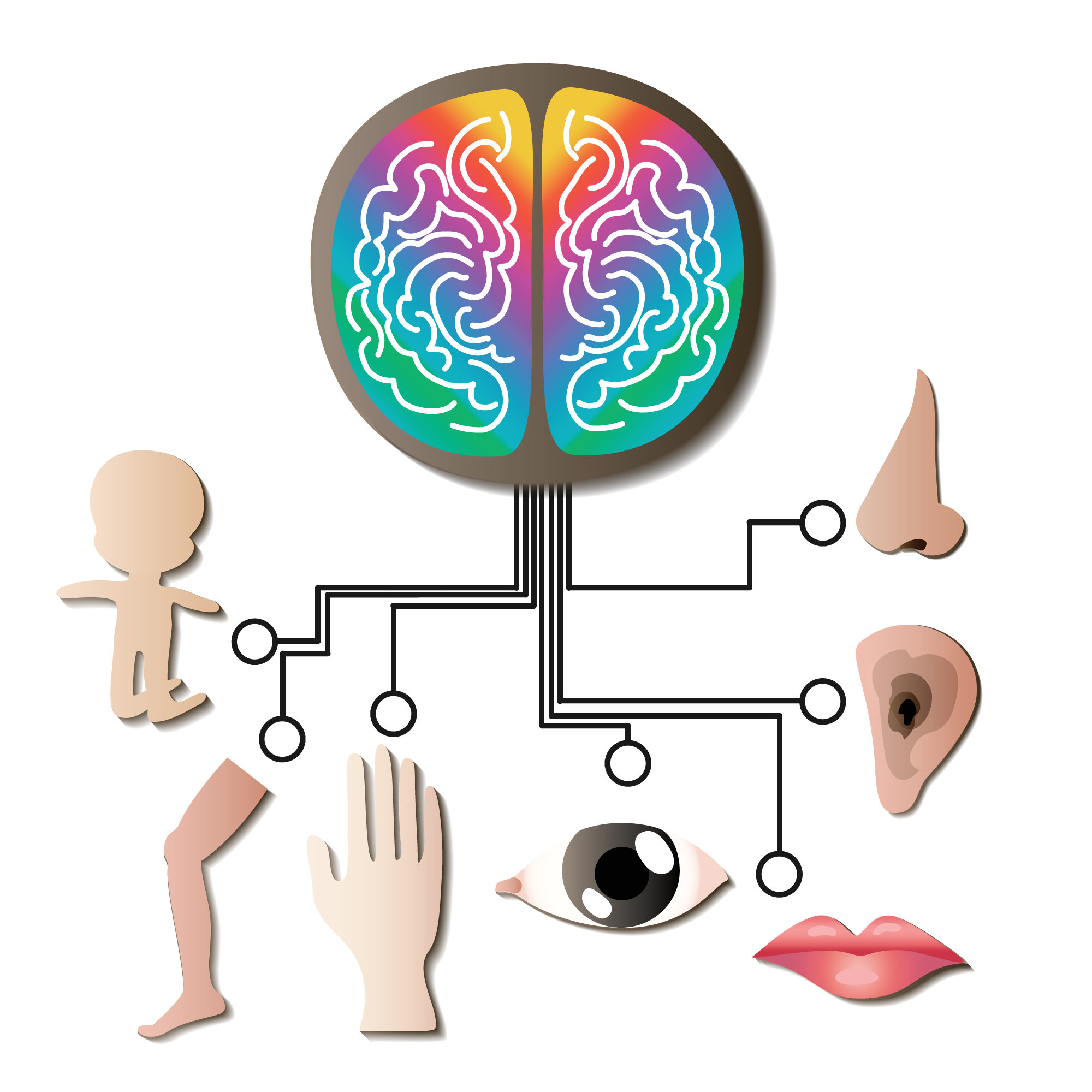 Sensory,Input,And,Integration,Concept.