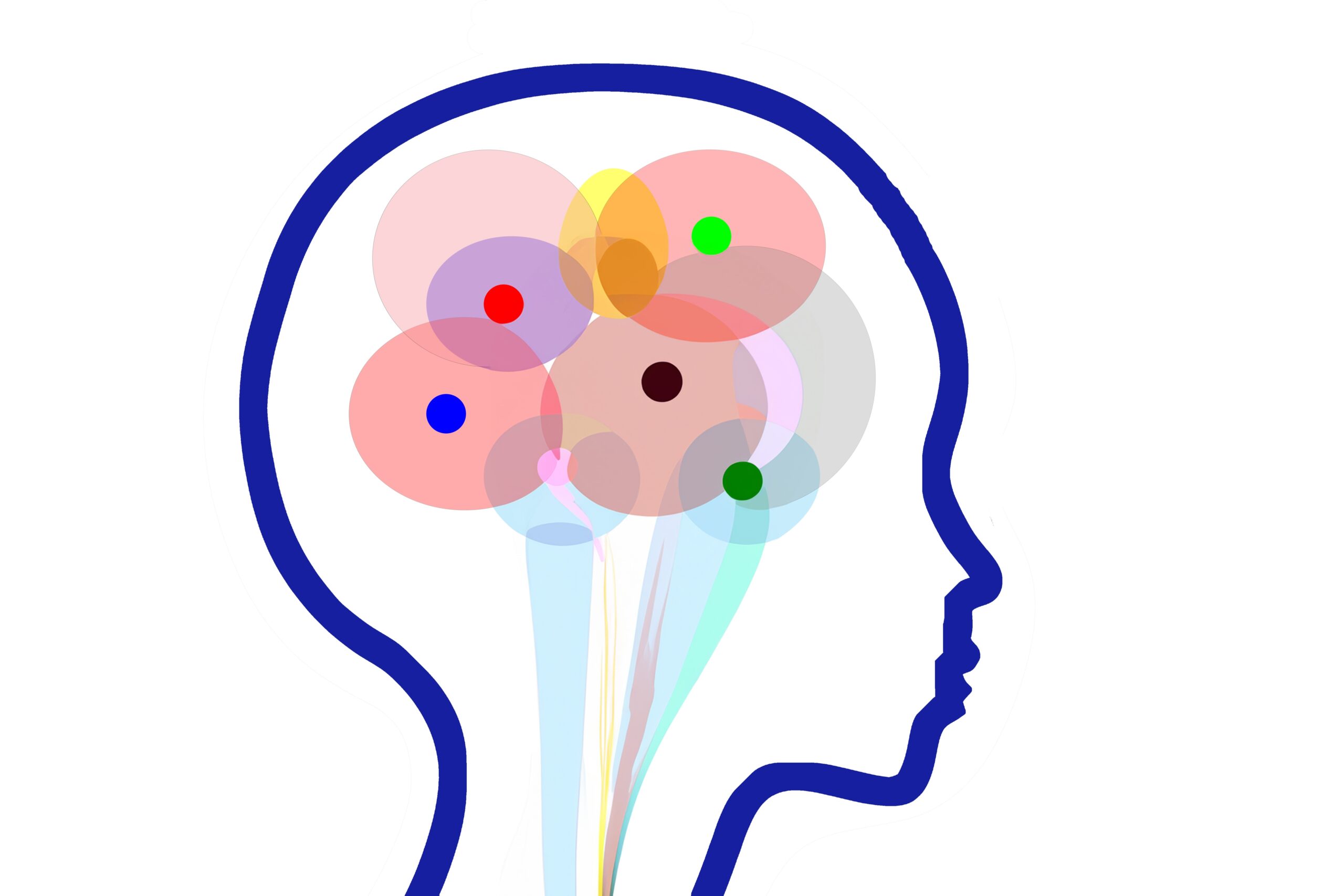 Abstract,Profile,Of,A,Human,Head,With,Translucent,,Overlapping,Thought